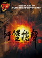 久久久久久国产精品mv