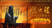 97在线视频网站
